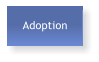 Adoption